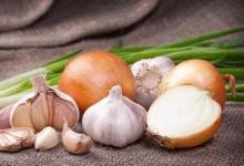 Prevention and folk remedies for worms