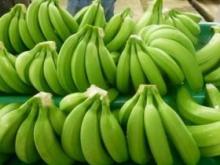 Unusual properties of green bananas