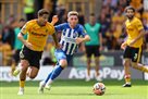Wolverhampton — Brighton 1:4