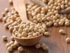 Is there any benefit to soy