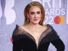 35-year-old Adele collapsed during a concert in Las Vegas due to a serious illness