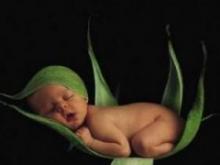 Maintaining the head in a baby at 2 months