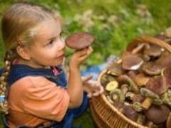 С какого возраста детям можно есть грибы