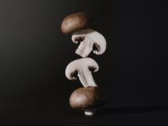 Since when have children been able to eat mushrooms?