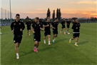 Zorya – Ghent: several betting options