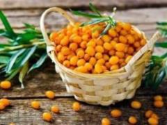 Облепиха: настоящее сокровище для здоровья и красоты