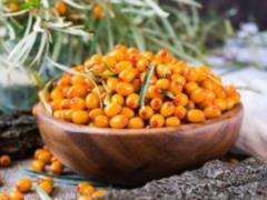 Sea buckthorn: a useful treasure for health and beauty