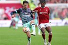 Nottingham Forest and Brentford failed to survive