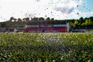 Piece fields should be fenced off in EU countries until 2031