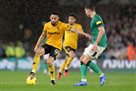 Wolverhampton and Newcastle did not survive