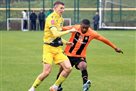 Rukh - Shakhtar 3:1 Video of goals and review of friendly match