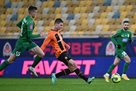 UAF Referees Committee: Easter praising the correct decision in the Shakhtar – Polissia match