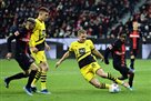 Bayer shares points with Borussia Dortmund