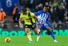 Brighton – Burnley 1:1 Video of goals and review of the Premier League match