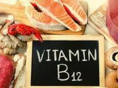 Importance and danger of vitamin B12 deficiency: health in rhiziku