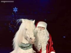 New gift from Odessa Circus