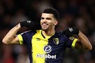 Gau said a little schodo to Solanke: Newcastle does not have the ability to get a gravel of such a level