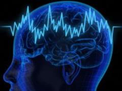 The infusion of physical rights into the brain: investigation and conclusions