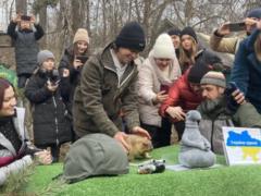 День сурка: Тимко из Харьковской области «спрогнозировал», когда ждать весну