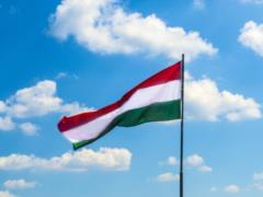 Венгерские фермеры анонсировали акцию протеста на границе с Украиной