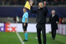 Rose: Gol Sheshka Mali Zarahuvati