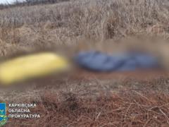 В Харьковской области три человека подорвались на мине: двое мужчин погибли на месте
