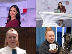 Ляпы в прямом эфире: пес Дюк от журналистки и Витвицкая, которая забыла обуться