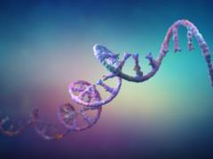 «Безопаснее, чем CRISPR»: в США проводят клинические испытания редакторов РНК