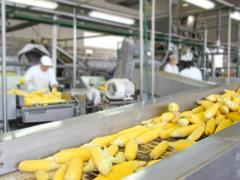 В Украине назвали культуру, сбор которой продолжается в феврале: остальные культуры собраны