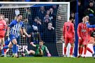 Brighton have a minority draw against Everton with Mikolenko