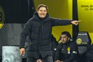 Borussia could sign Terzic