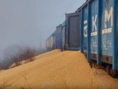 30 тонн всыпанной на железной дороге украинской кукурузы – что с ней сделают в Польше