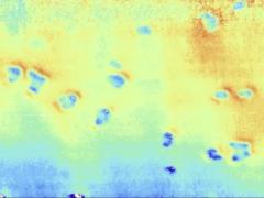 Загадочные дыры на дне Северного моря оказались не тем, считались