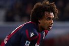 Gullit - shodo Zirkze: This guy is making me crazy