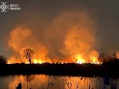 В Киеве горит экопарк  Осокорки 
