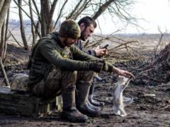 Демобилизованные срочники получат год отсрочки от мобилизации — депутат