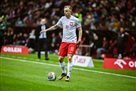 Lewandowski: Grosiecki and the additional support of the national team of Poland