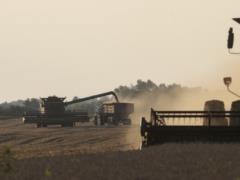 Япония выделила новое финансирование для украинских аграриев