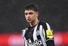 Newcastle s senior suffers from injury for nearly six years