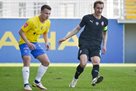 Зоря — Металіст 1925 2:1 Відео голів та огляд матчу УПЛ