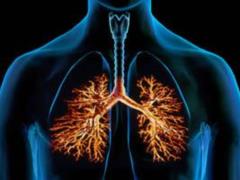 Products that help the elderly: How to preserve the health of the respiratory system
