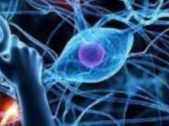 Parkinson s disease: early signs that need to be addressed