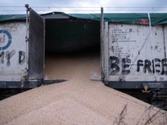 В ЕС еще раз согласовали условия беспошлинной торговли для Украины – с ограничениями