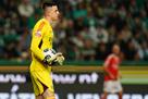 Trubin and Zabarny have up to 23 rocks on the list, which have increased in price the most over the remaining six months