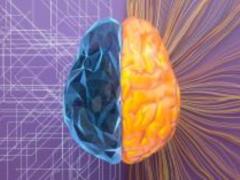 Infusing food onto the brain: What vitamins are the greatest