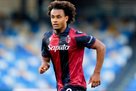 Milan is rapidly approaching the Zirkze transfer