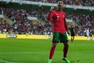 Ronaldo set a record for the number of matches on the highest level