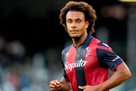 Transfer from Zirkze to Milan Galmuye agent gravtsa