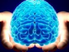 Potential potential: brain and yogo building up to hourly prices