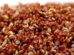 Найкорисніша крупа: як обрати найкращий продукт для здоров я